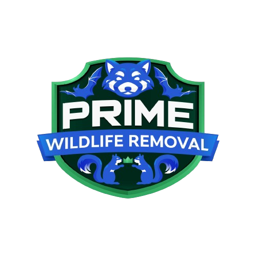 Wildlife Removal Connersville